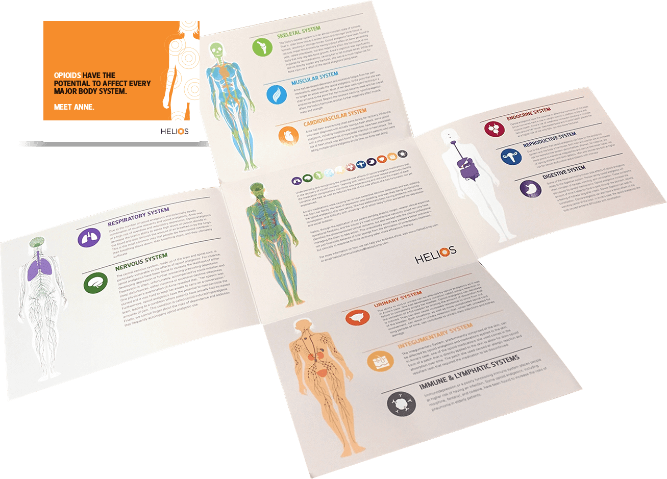Helios Healthcare Branding Meet Anne Brochure